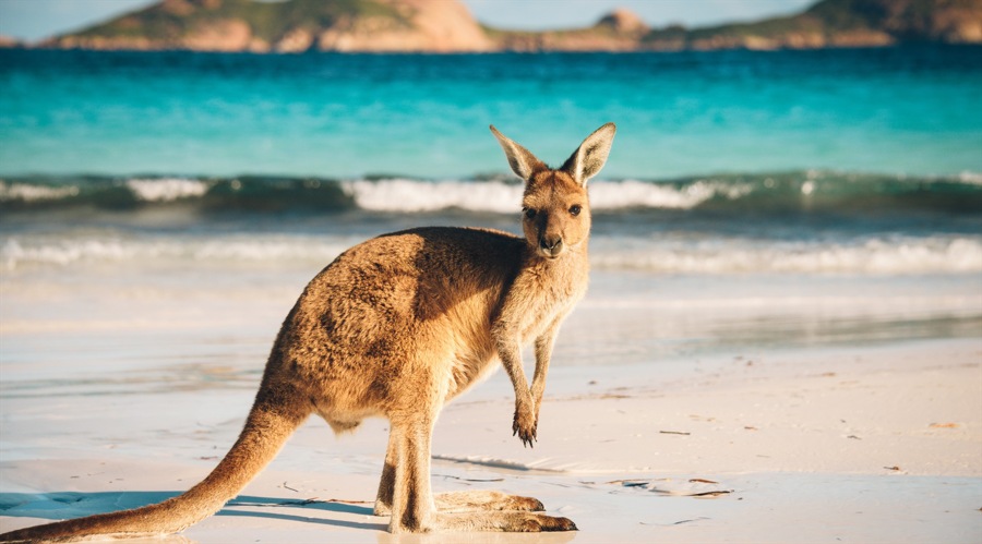 Israeli Network Used Fake News to Defraud 4,000 Australian Investors